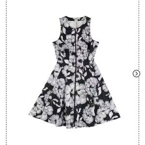 Bar III Purple, Black, and White Floral Dress